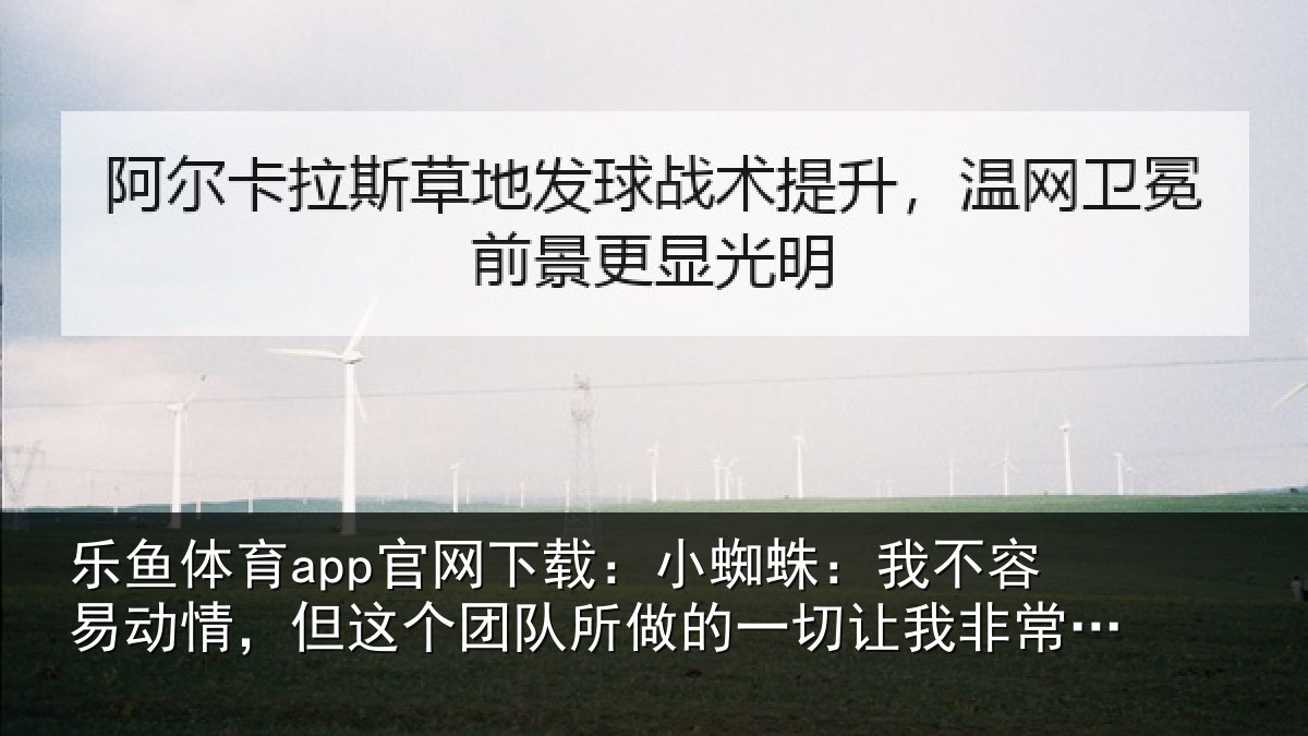 乐鱼体育app官网下载：小蜘蛛：我不容易动情，但这个团队所做的一切让我非常激动