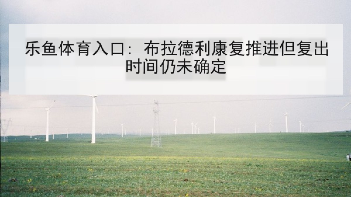 乐鱼体育入口: 布拉德利康复推进但复出时间仍未确定